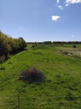 Foto - Grundstück zur Miete in Großefehn