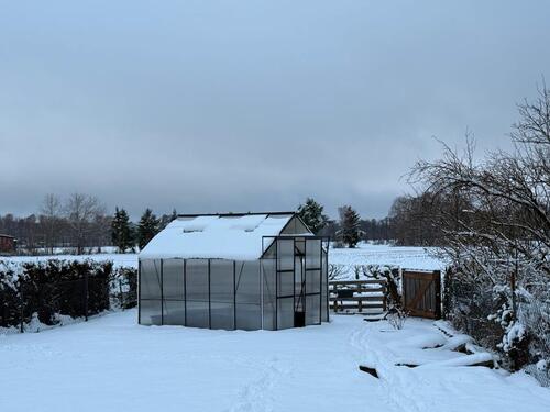 Foto - Einfamilienhaus in Eschede zum Kaufen