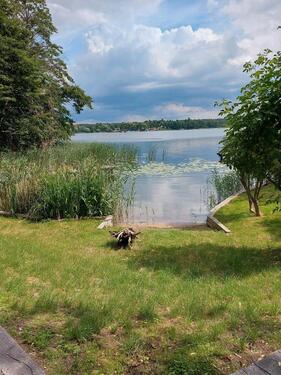 Foto - andere in Rheinsberg