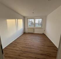 Warlitz - Renovierte und ruhige 3 Zimmer Erdgeschosswohnung ab sofort zu vermieten - Hagenow