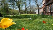 Foto - Einfamilienhaus in Risum-Lindholm