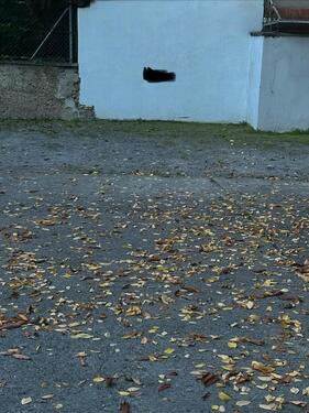 Foto - andere in Stuttgart