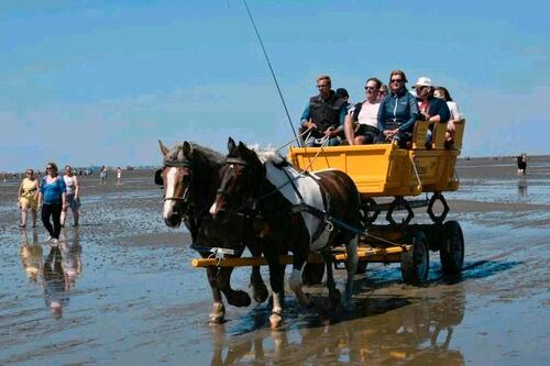 Foto - CUXHAVEN DUHNEN - NORDSEE - FERIENWOHNUNG - ab 8. JUNI -STRANDNAH