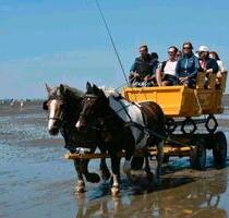 CUXHAVEN DUHNEN - NORDSEE - FERIENWOHNUNG - ab 8. JUNI -STRANDNAH