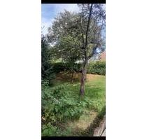 Haus zu vermieten - 850,00&nbsp;EUR Kaltmiete, ca.&nbsp; 110,00&nbsp;m&sup2; in Bad Alexandersbad (PLZ: 95680)