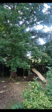 Foto - 3 Zimmer Einfamilienhaus zur Miete in Bad Alexandersbad