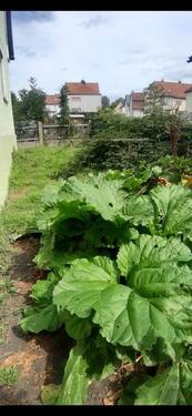 Foto - 3 Zimmer Einfamilienhaus in Bad Alexandersbad