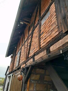 Foto - 5 Zimmer Einfamilienhaus zum Kaufen in Uder