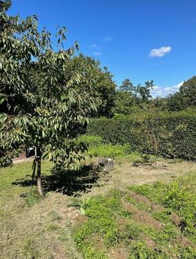 Foto - Grundst&uuml;ck in Winnenden