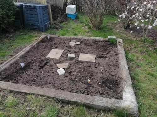 Foto - Grundstück in Burgstädt