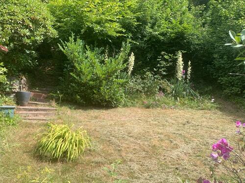 Foto - Pachtgarten in Sülzhayn - 2.500,00&nbsp;EUR Kaltmiete, ca.&nbsp; 0,00&nbsp;m&sup2;