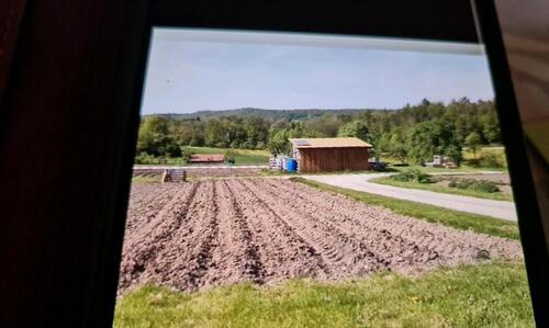Foto - Pächter für Kleineren Krautgarten