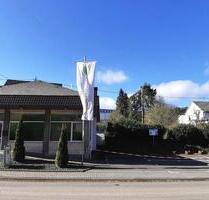 Moderne Eifel Praxis - 600,00 EUR Kaltmiete, ca.  45,00 m² in Antweiler (PLZ: 53533)