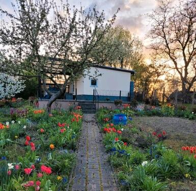 Foto - Bungalow Immobilie zum Verkauf - 36.900,00 EUR Kaufpreis, ca.  25,00 m²