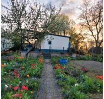 Bungalow Immobilie zum Verkauf - 36.900,00 EUR Kaufpreis, ca.  25,00 m² in Schwerin (PLZ: 19053)