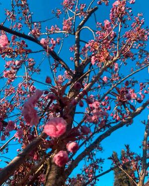 Foto - 2.5 Zimmer Erdgeschoßwohnung in Versmold