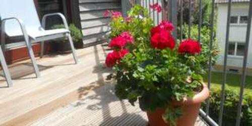 Foto - Ideal für Singles - 195.000,00&nbsp;EUR Kaufpreis, ca.&nbsp; 63,00&nbsp;m&sup2;