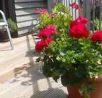 Ideal für Singles - 195.000,00&nbsp;EUR Kaufpreis, ca.&nbsp; 63,00&nbsp;m&sup2; in Bielefeld (PLZ: 33613) Schildesche