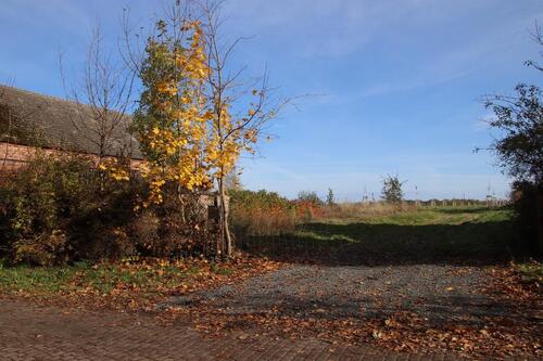 Foto - Einfamilienhaus in Beeskow zur Miete