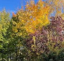 Eigentumswohnung Wolframs-Eschenbach