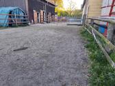 Foto - 