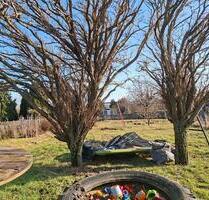 Pachtgarten Nähe Bismarckturm (99510 Apolda)