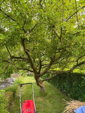 Foto - Grundst&uuml;ck in Wilhelmshaven zur Miete