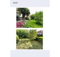 Wohnhaus Stadtmitte Blomberg zu Vermietung frei