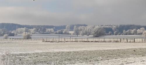 Foto - 4 Zimmer Doppelhaushälfte in Germering