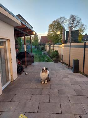 Foto - 6 Zimmer Einfamilienhaus zum Kaufen in Mücheln (Geiseltal)