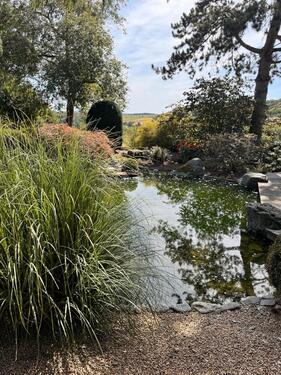 Foto - 6 Zimmer Einfamilienhaus in Holzhausen an der Haide