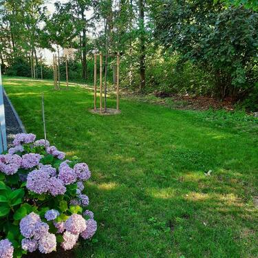 Foto - 2 Zimmer Erdgeschoßwohnung in Köln