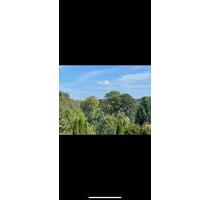 Loft Wohnung im grünem möbliert zentral ab 1.3.26 - Vlotho