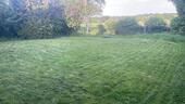 Foto - Mehrfamilienhaus - 450.000,00 EUR Kaufpreis,