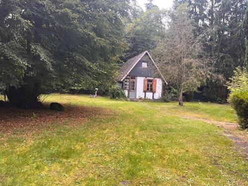 Foto - Einfamilienhaus in Regesbostel zum Kaufen