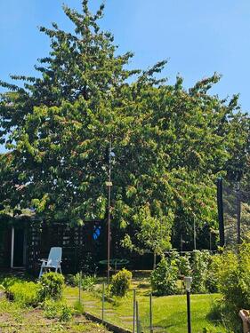 Foto - Schrebergarten - 4.000,00&nbsp;EUR Kaltmiete, ca.&nbsp; 0,00&nbsp;m&sup2;