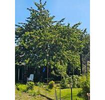 Schrebergarten - 4.000,00&nbsp;EUR Kaltmiete, ca.&nbsp; 0,00&nbsp;m&sup2; in Lüneburg (PLZ: 21337) Ebensberg