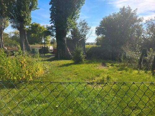 Foto - Garten Erholung Urlaub Wochendgrundstück Kinder