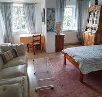 Möblierte 1 Zimmer-Wohnung, Tageslichtbad, offene Küche, inkl. TV, WLAN u. Stromkosten, in Offenbach - Offenbach am Main Bieberer Berg