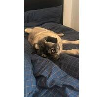 Große 3 Zimmer Hof Wohnung ,Traumlage in Schwarme . - Martfeld