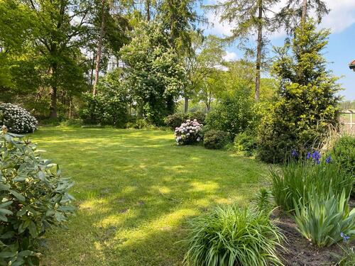 Foto - andere in Edewecht