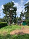 Foto - Grundstück zur Miete in Chorin