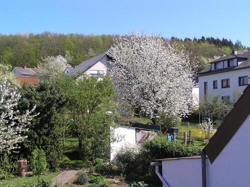 Foto - Einfamilienhaus in Waldbrunn (Westerwald) zum Kaufen