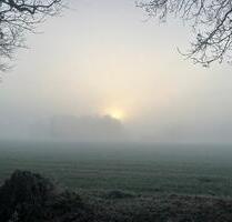 Exklusive Ferienwohnungen im Ammerland – Westerstede