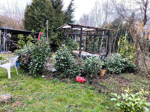 Foto - Einfamilienhaus in Mücke zur Miete