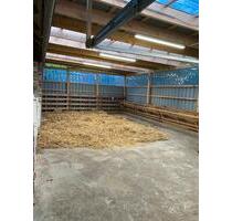 Wohnen mit Pferd - 900,00&nbsp;EUR Kaltmiete, ca.&nbsp; 120,00&nbsp;m&sup2; in Krummhörn (PLZ: 26736)