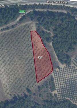 Foto - GRUNDSTÜCK IN DER TÜRKEI ZU VERKAUFEN