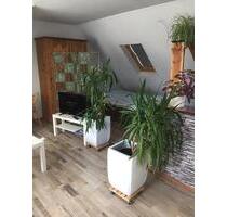 Voll möbliertess Apartment mit Balkon - Hamburg Billstedt