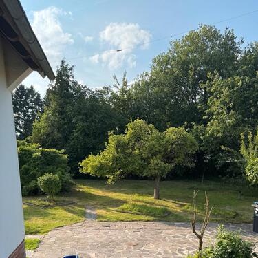 Foto - 3-Zimmer-WG, Einzug ab 1. Dezember