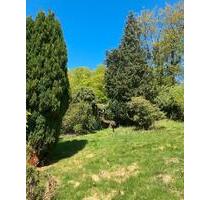 Verpachte Garten Wahnhausen Kassel 780qm - Fuldatal